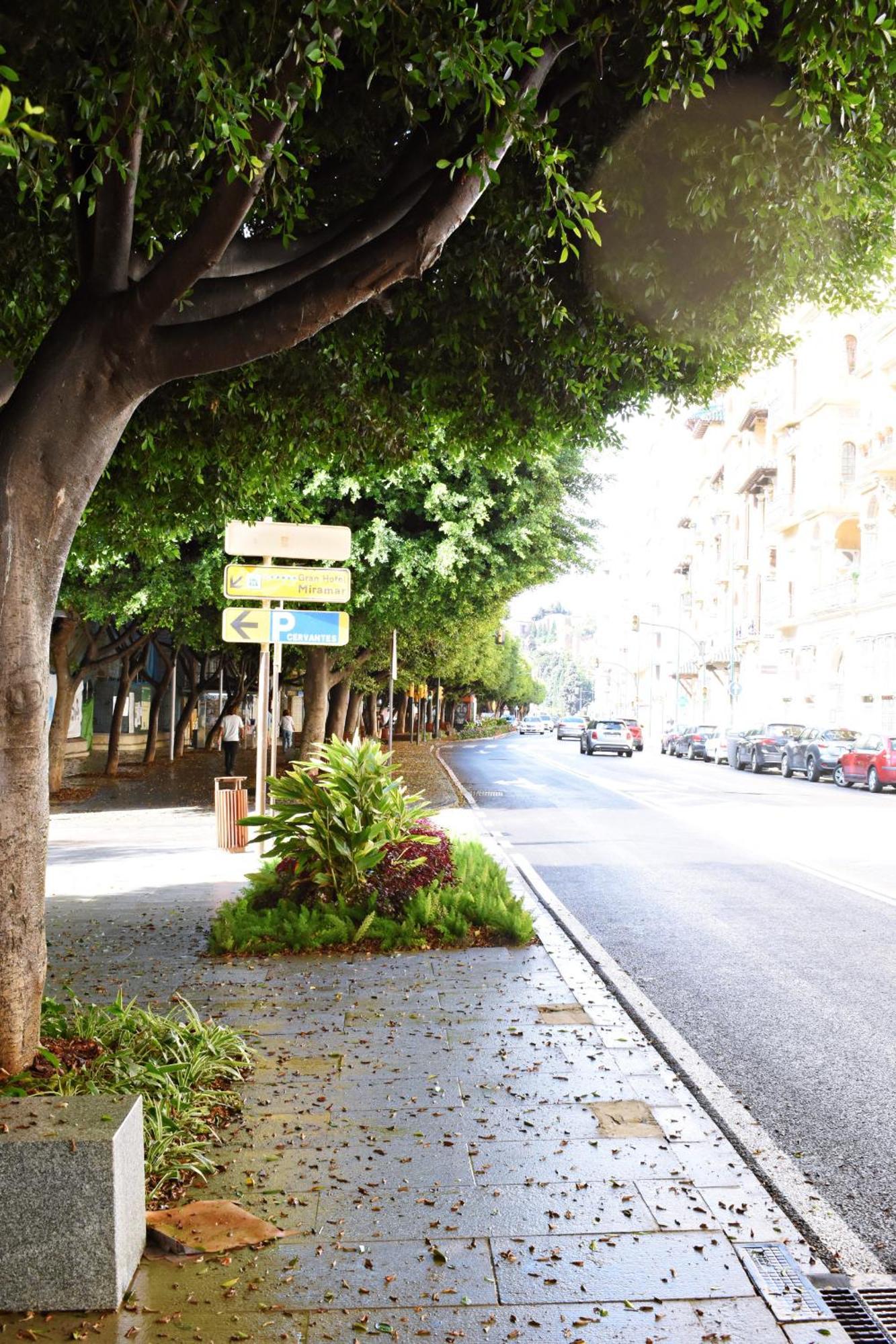 Malagueta's Cozy With Parking And Swimming Pool Lejlighed Málaga